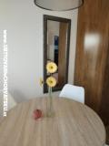 Prázdninový dom Roema Apartmán 2 - A studio foto 3