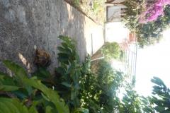 Apartmány Diana Apartmán 1 - Apartman 1 foto 5