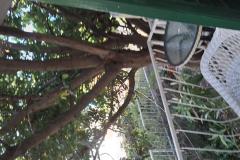 Dijana Beach Dom Apartmán 1: (14+4) - Villa Dija foto 3
