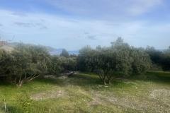 Sun Vila Apartmán 4 - Kuća foto 1