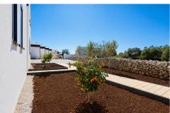 Dalma Park Apartmán 1 - Natura Lux foto 2