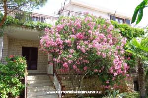 Apartmány  IVAN   – Vodice