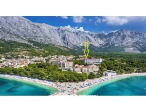 Ruža