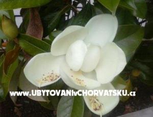 Apartmány Magnolija