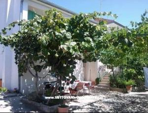 Apartmán Marina