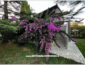 Flowers Apartmán Medulin, Fucane 2