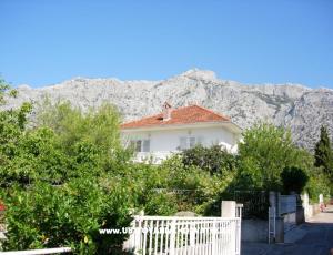 Apartmány Terezija
