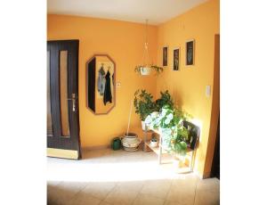 Apartmány Filip