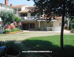 Family Dom Ivancevic