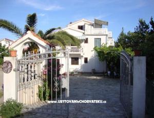 Antonela 