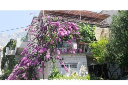 Apartmány KATE Makarska Chorvátsko