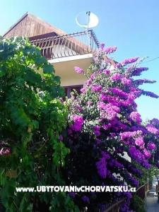 Dom Marino Marina – Trogir Chorvátsko