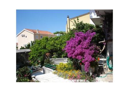 Apartmány - Minka i Vite Podgora Chorvátsko
