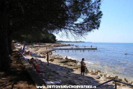Apartmány San Pelegrin Umag Chorvátsko