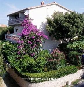 Villa IBIS Zadar Chorvátsko