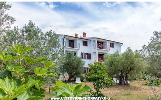 Apartmány Amalia Fažana - ubytovanie Fažana Chorvátsko