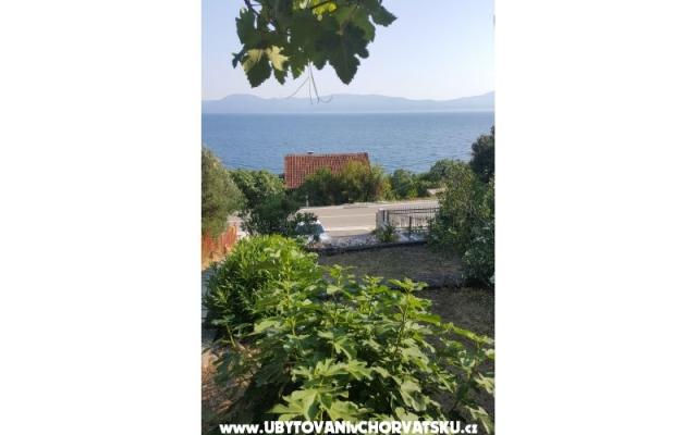 Dom Maslina - ubytovanie Gradac – Podaca Chorvátsko