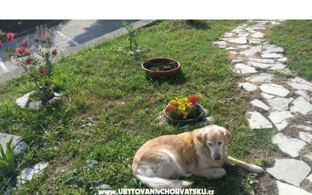 Mini Kemp Podaca - ubytovanie Gradac – Podaca Chorvátsko