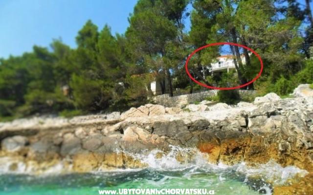 Apartmány Marica P. - ubytovanie Korčula Chorvátsko