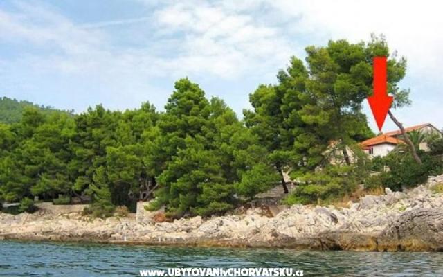 Prázdninový dom Villa Antea - ubytovanie Korčula Chorvátsko