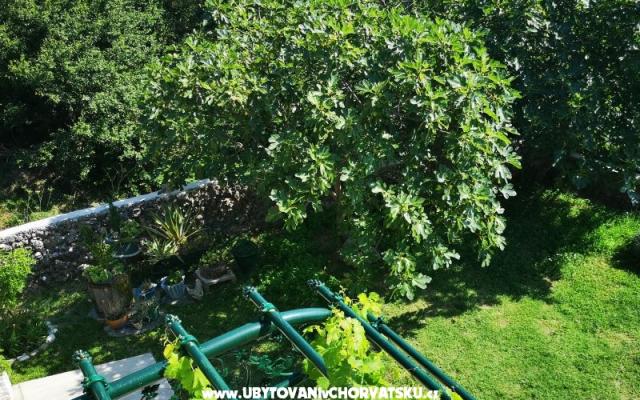 Apartmány Garden paradise - ubytovanie Makarska Chorvátsko