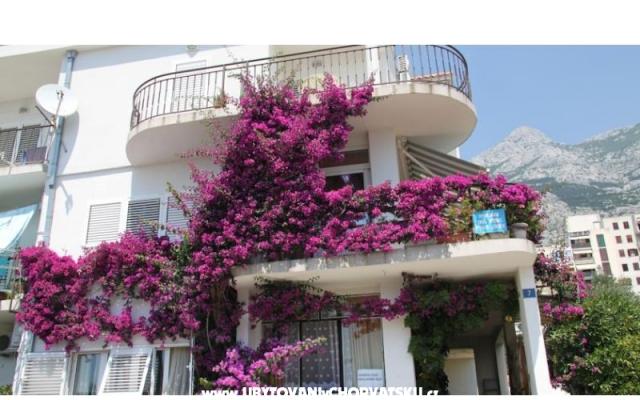 Apartmány ANTE - ubytovanie Makarska Chorvátsko