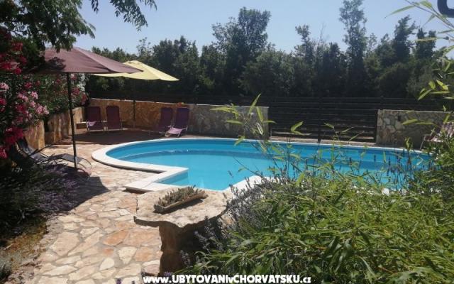 Sunny pool Apartmány - ubytovanie Maslenica Chorvátsko