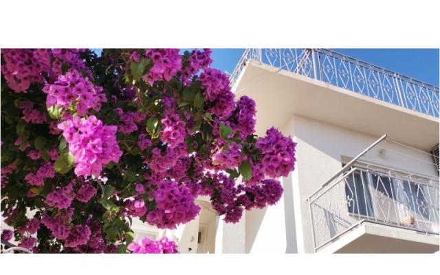 Apartmán Mare - ubytovanie Šibenik Chorvátsko