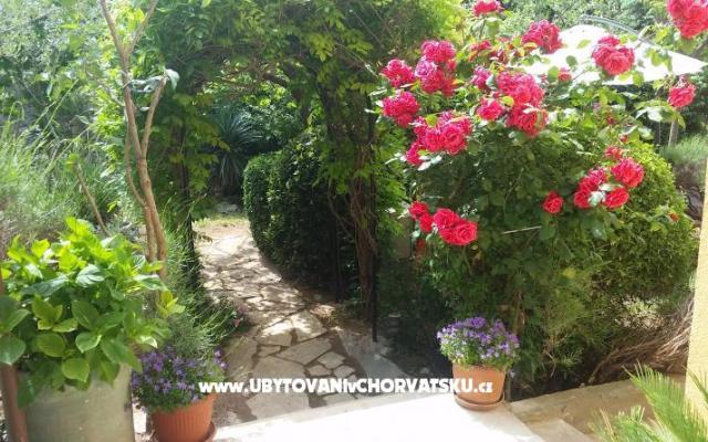 Vila Arboretum Šibenik - ubytovanie Šibenik Chorvátsko