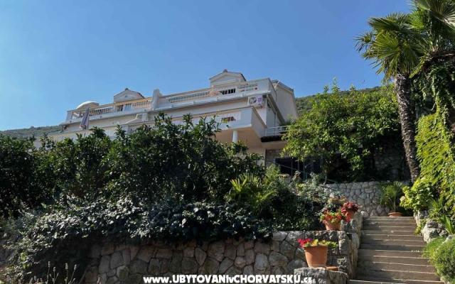 Vila Nautilus luxury Apartmány - ubytovanie Trpanj – Pelješac Chorvátsko