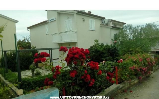 Apartmány Tomislav - ubytovanie ostrov Ugljan Chorvátsko