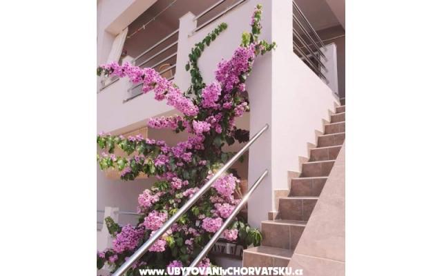 Apartmány Maja - ubytovanie ostrov Vir Chorvátsko