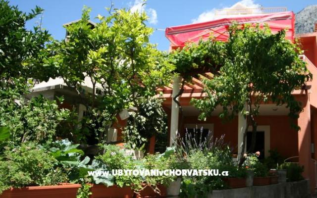 Apartmán Mirjana - ubytovanie Živogošče Chorvátsko