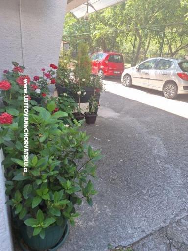 VILLA BERNARD..150 m plaža DRAŽICA – foto 51