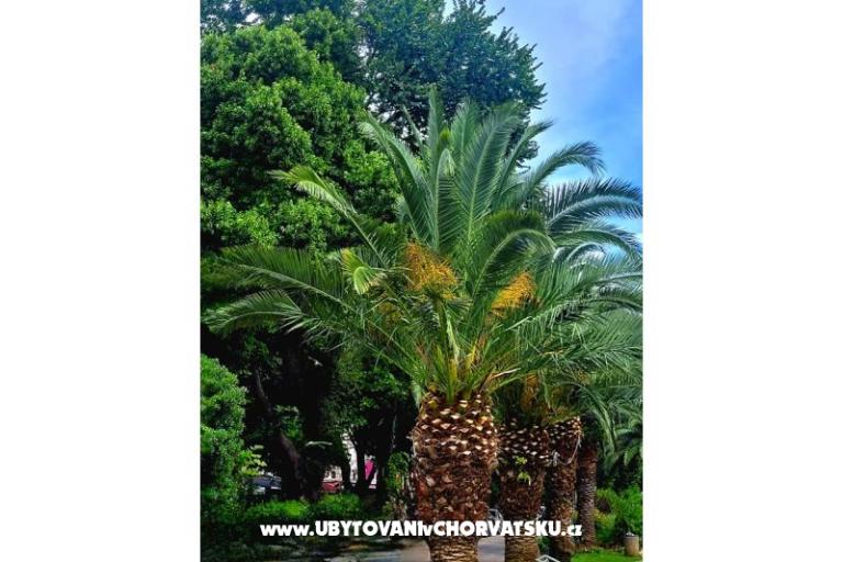 Apartmány Vukelić Crikvenica – foto 43