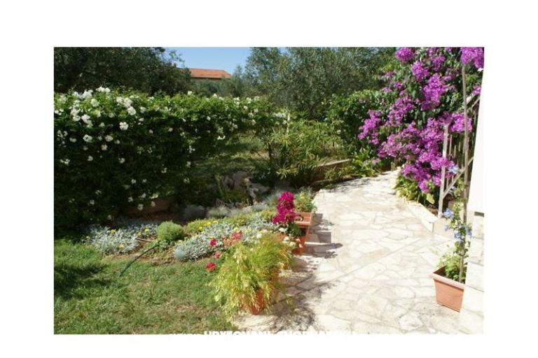 Apartmány Vodopija od 55eur/2 os – foto 6