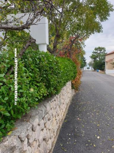 Apartmány Ana – foto 3