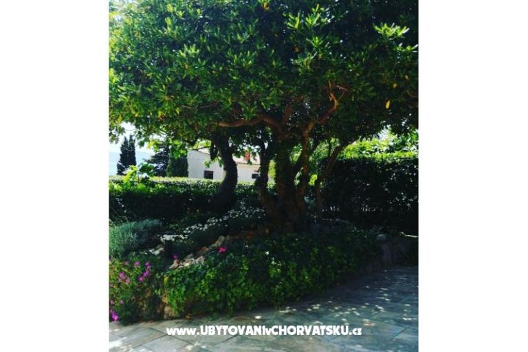 Apartmány BUTKOVIĆ DUBRAVKA – foto 13