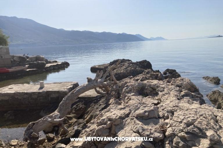Apartmány Ruvo – foto 17