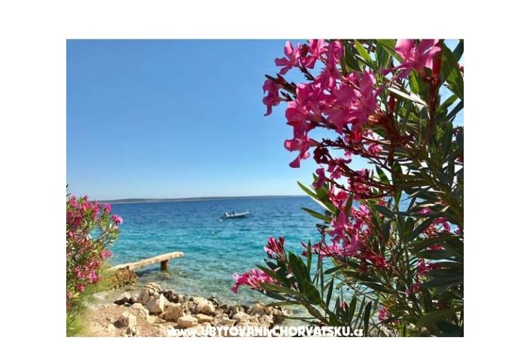 Apartmány Villa Ana – foto 16