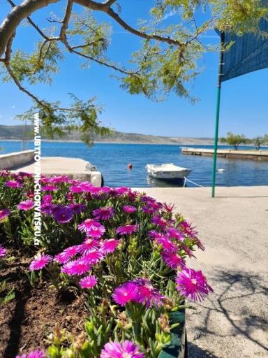 Apartmány Tomic – foto 8