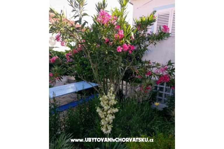 Apartmány Marija-Tkon – foto 3