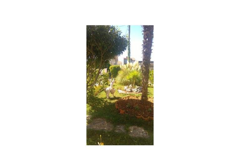 Apartmány Čubrić – foto 26