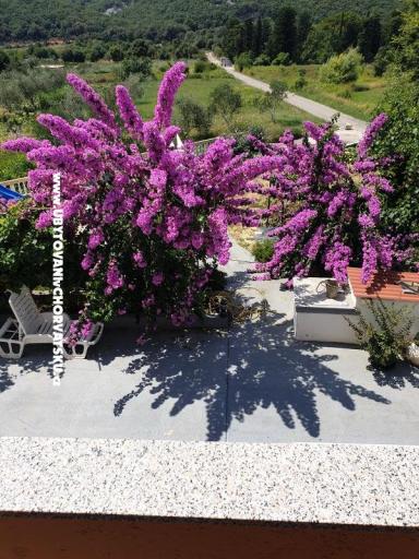 Apartmány Lupić – foto 16