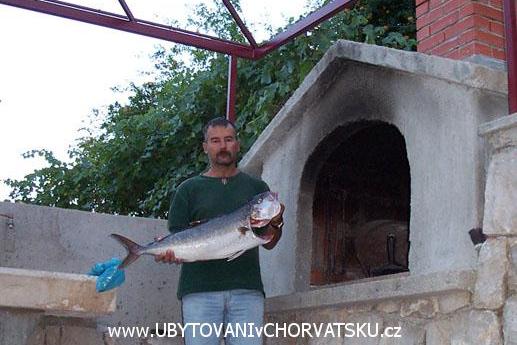 Majo Apartmány – foto 7
