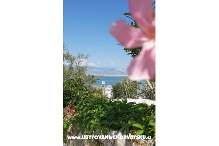 Apartmány Knapić – foto 7