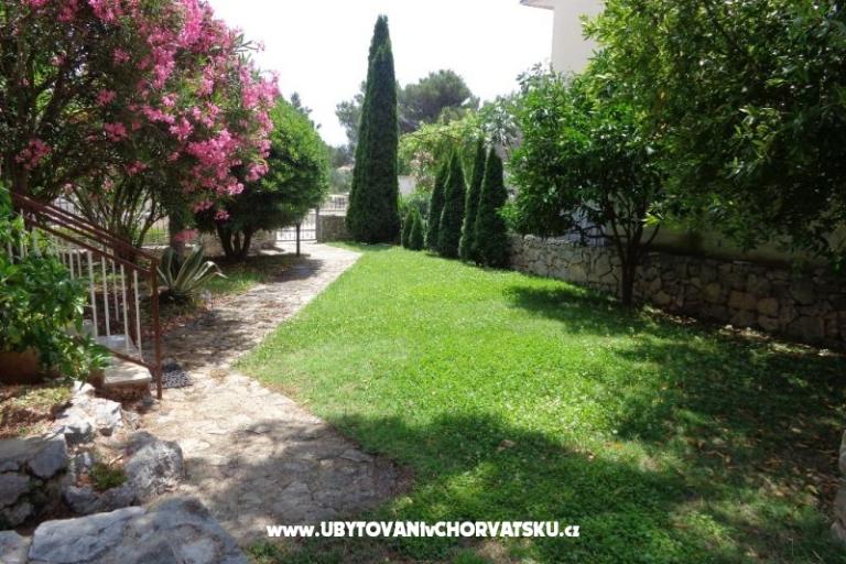 Apartmány  IVAN   – foto 8
