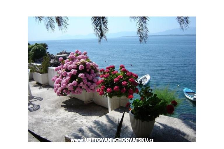 Apartmány Šapat mora – foto 9